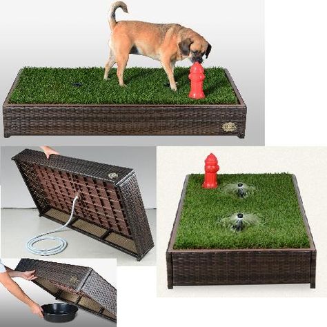 Dog Potty Area, Porch Potty, Dog Litter Box, Dog Biting Training, Dog Toilet, Dog Playground, Dog Potty Training, Dog Potty, Dog Area