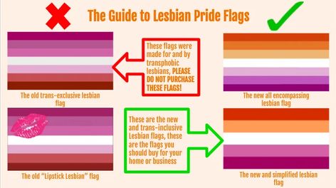 Lgbt Humor, Lesbian Pride Flag, Lgbtq Funny, Lgbtq Flags, Lesbian Flag, Gay Memes, I Have No Friends, Pride Flags, The Sunset