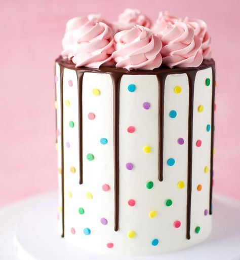 Polka Dot Cake Ideas, Polka Dot Cake, Pastel Confetti, Dot Cake, Spring Time Desserts, Polka Dot Cakes, Moms 50th Birthday, Confetti Sprinkles, Vegan Chocolate Cake