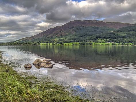 Bassenthwaite Lake, nr Keswick, Cumbria, UK, is one of the largest water bodies in the English Lake District. It is 6. km long and 1km wide. It is the only body of water in the Lake District to use the word ‘lake’ in its name, all the others being ‘waters’, ‘meres’ or ‘tarns’. It is fed by, and drains into, the River Derwent. The lake lies at the foot of Skiddaw. Birdlife includes cormorant, heron and osprey. Bassenthwaite Lake, Tyne And Wear, Water Bodies, Body Of Water, Greater Manchester, The Lake District, The Secret History, Cumbria, Lake District