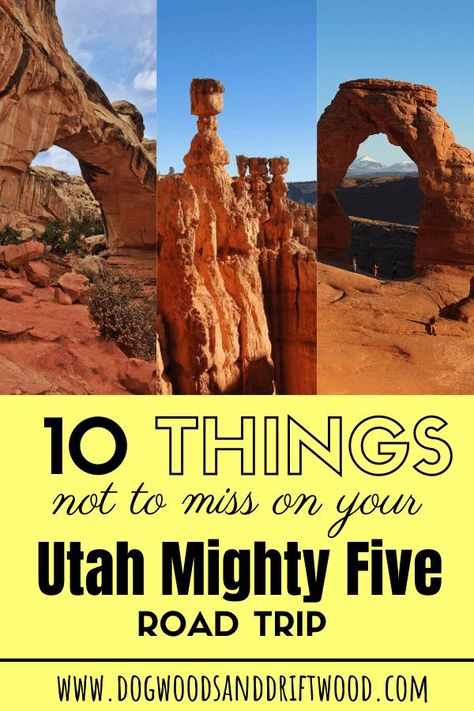 Mighty 5 Road Trip, Utah Mighty 5, Southwest Road Trip, Zion National Park Hikes, Utah National Parks Road Trip, Utah Parks, Hiking The Narrows, Utah Trip, Southwest Travel