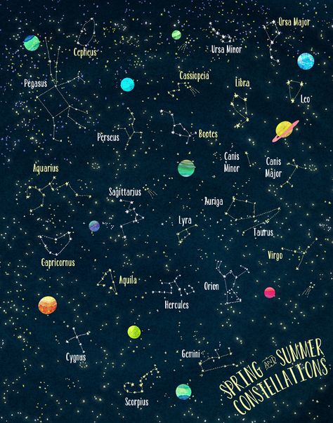 Summer Constellation Map: even the sky looks like flowers blooming... Stars In The Night Sky, Cv Inspiration, Constellation Map, Star Constellations, Carl Sagan, Space Science, The Night Sky, Space And Astronomy, Science And Nature