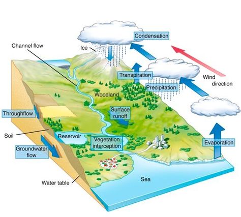 Water Cycle Diagram, Hydrological Cycle, Basic Geography, Math Classroom Decorations, Weather Science, Physical Geography, Geography Map, Make Your Day Better, Geography Lessons