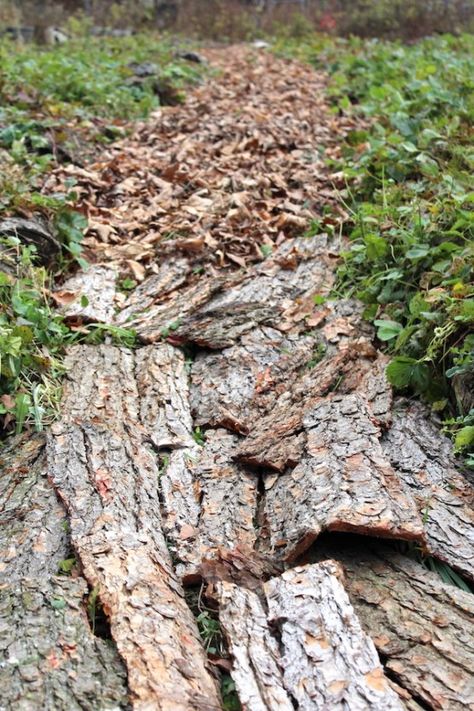 How to Make Bark Mulch at Home Sheet Mulching, Garden Mulch, Lasagna Gardening, Small Yard, Seasonal Garden, Fruit Garden, Bedding Plants, Tree Bark, Growing Vegetables