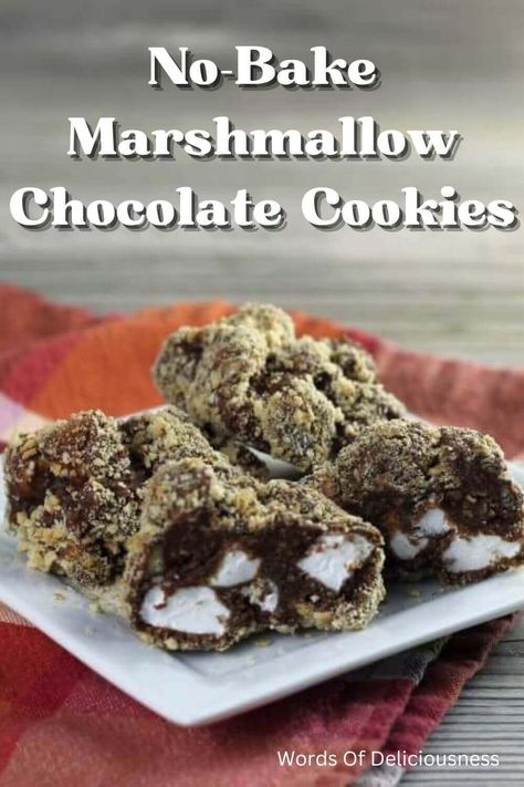 No-Bake Marshmallow Chocolate Cookies are made with a handful of ingredients and are a family favorite. A simple cookie that you don't have to turn the oven on for. # nobakemarshmallowcookies #wordsofdeliciousness Marshmallow Desserts, Chocolate Marshmallow Cookies, Marshmallow Chocolate, Simple Cookie, Bakers Chocolate, Cracker Cookies, Favorite Cookie Recipe, Yummy Dessert, Chocolate Marshmallows