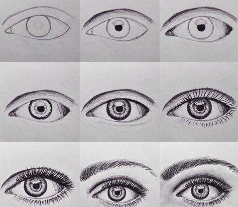 How to draw an eye How Drawing, Drawing Eyebrows, Drawing Mouth, Steps To Draw, Drawing Lips, Drawing Birds, Drawing Bird, Realistic Eye Drawing, Cool Drawing