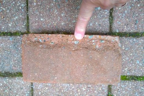 Why concrete pavers lose their color and what to use instead | The Seattle Times Clay Pavers, How To Fade, Coloured Icing, Concrete Paving, Concrete Bricks, Sand And Gravel, Patio Shade, Brick Pavers, Concrete Pavers