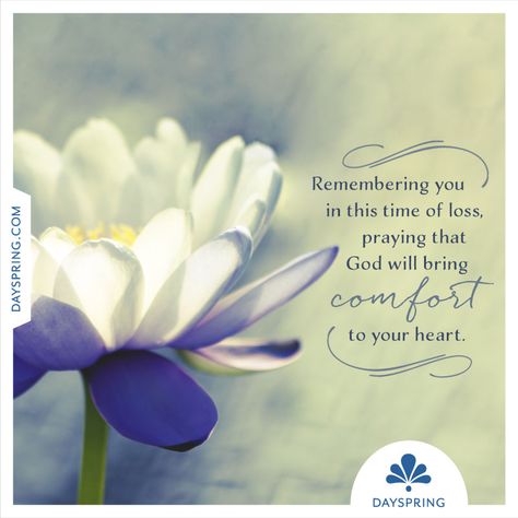 Comfort to Your Heart Sympthay Quotes, Inspirational Sympathy Quotes, Thinking Of You Quotes Sympathy, Sympathy Thoughts, Sympathy Card Sayings, Condolences Quotes, Words Of Sympathy, Condolence Messages, Sympathy Card Messages