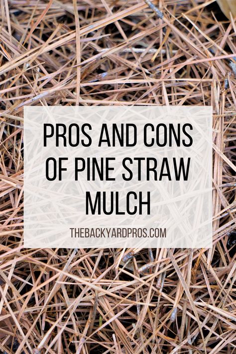 Pine Straw Landscaping, Pine Straw Mulch, Compost Mulch, Cypress Mulch, Straw Mulch, Types Of Mulch, Mulch Landscaping, Herb Containers, Chestnut Color