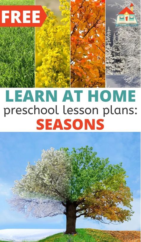 These preschool lesson plans don't require any special materials for teaching the seasons. That's what makes them so special. These lesson plans for preschoolers only require the most basic supplies found in most homes. Teach your preschooler or toddler all about the seasons with these hands-on activities. Learning Seasons Preschool, Preschool Science Lessons, Seasons Preschool, Seasons Lessons, Toddler Lessons, Lesson Plans For Toddlers, Seasons Activities, Science Lesson Plans, Fall Preschool