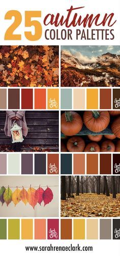 Color Pallets Inspiration For Home, Fall Cookie Color Palette, Autumn Decor Color Palette, Orange Wood Color Palette, Fall Color Palette Home, Fall Palette Colour Schemes, Fall Decor Color Schemes, Fall Color Pallettes, Fall Wedding Mood Board