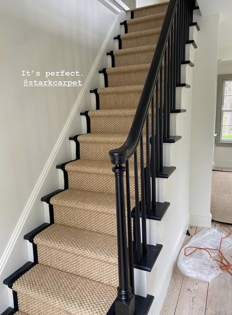 Black Staircase Carpet, Stairs Victorian House, Stair Runner Carpet On Black Stairs, Cream And Black Stairs, Carpet Runner Black Stairs, Traditional Staircase With Runner, Dark Stair Treads, Black White Stairs With Runner, Staircase Bannister Ideas