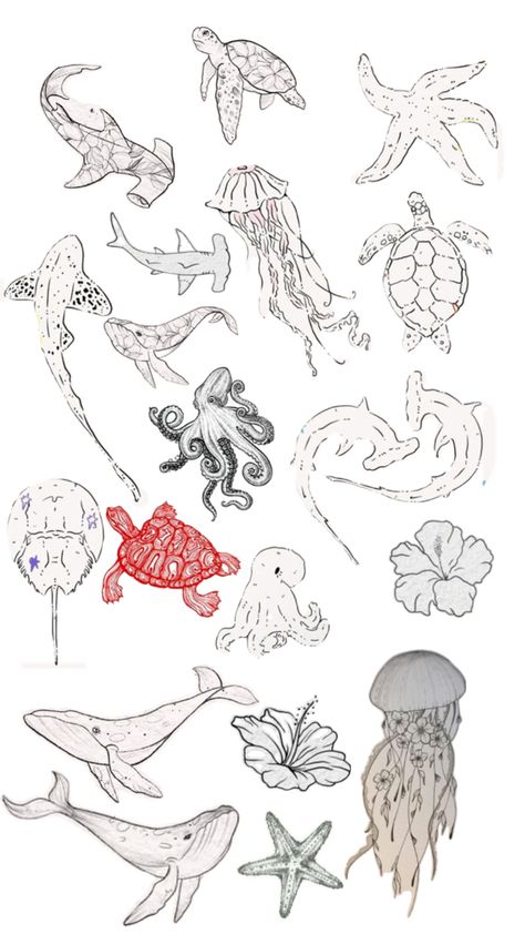 Animals Tattoo Ideas, Marine Animal Tattoo, Sketchbook Prompts, Animals Tattoo, Ocean Tattoos, Dope Tattoos, Marine Animals, Book Art Drawings, Animal Tattoos