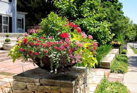 large bowl planter with low stacked stone fence and stone columns and entrance with assortment of stones in different shapes and hues and gray jar planter with topiaries Container Gardening Design, Large Bowl Planters, Thrillers Fillers Spillers, Gardening Basics, Gardening Seeds, Myrtle Tree, Container Garden Design, Gardening Design, Full Sun Plants