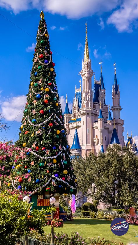 Disney Background Christmas, Christmas Disney Background, Disney World During Christmas Aesthetic, Magic Kingdom Christmas Wallpaper, Best Places In New York, Disney Castle Christmas, Magic Kingdom Christmas, Christmas Lights Wallpaper, Disney World Christmas