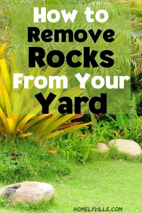 If you live on rocky ground, removing rocks can get a little frustrating. Here are the methods that will make this process easier.#removingroks #howtoremoverocksfromyouryard How To Remove Rocks From Yard, Rock Box, Planting Grass, Garden Rake, Church House, Front Walkway, Homesteading Skills, Garden Walkway, Front Lawn