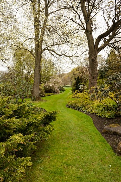 Holyrood Park,  Edinburgh. Holyrood Park, Best Place To Live, Place To Live, Best Places To Live, Green Space, English Garden, Yard Ideas, Edinburgh, The Good Place