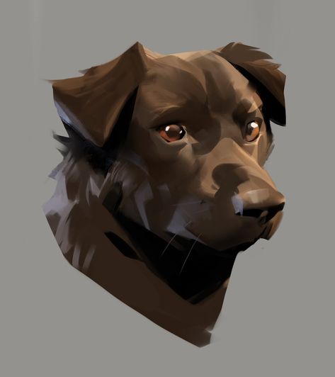 thomas mahon on Twitter: "#NationalPuppyDay… " Dog Digital Painting, Animal Digital Illustration, Digital Dog Drawing, Dog Drawing Digital, Dog Digital Illustration, Illustration Art Dog, Animal Art Styles, Dog Character Art, Dog Reference Drawing