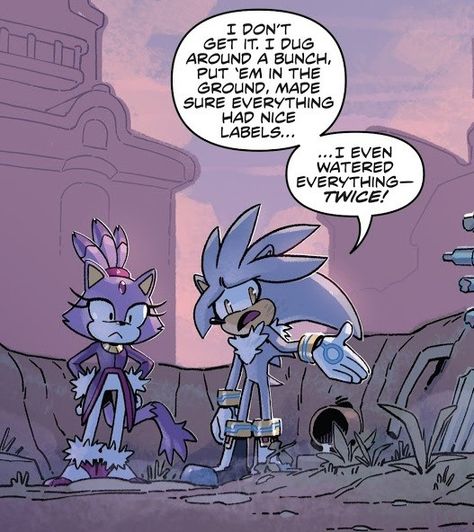 Silver The Hedgehog Comic, Silver The Hedgehog Idw, Sonic The Hedgehog Idw, Sonamy Comic, Silver The Hedgehog, Sonic Funny, Sonic Fan Characters, Sonic 3, Blue Hedgehog