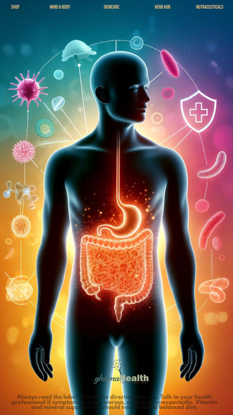 The Gut-Immune Connection: Cultivating Inner Wellness Probiotics Prebiotics, Diet Lifestyle, Health Signs, Gut Microbiome, The Immune System, Wellness Blog, Food Videos Cooking, Natural Supplements, Nutrition Tips