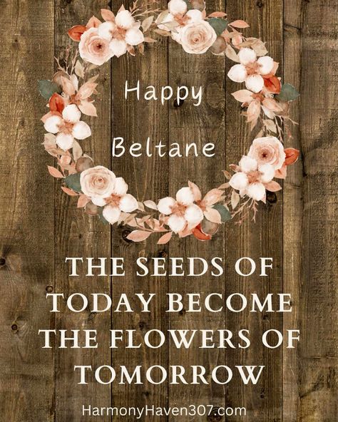 Happy Beltane🌿 May your field be fertile. May the rains fall gently upon them. May the sun warm the planted seed. May the harvest be bountiful. Have a Blessed Beltane 🌿🌼🌿 HARMONYHAVEN307.COM #beltane #wednesday #spring #blessedbe #blessedbeltane #quoteoftheday Happy Beltane, Blessed Beltane, What Is Beltane, Beltane May Queen, Beltane 2024, Celebrate Beltane, Beltane, The Harvest, Fertility