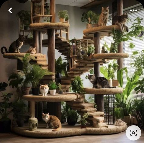 Weird Houses, Cat Room Decor, Feral Cat House, Cat Climbing Wall, Cat Castle, Interesting Houses, Cat Patio, Cat Tree House, Diy Cat Tree