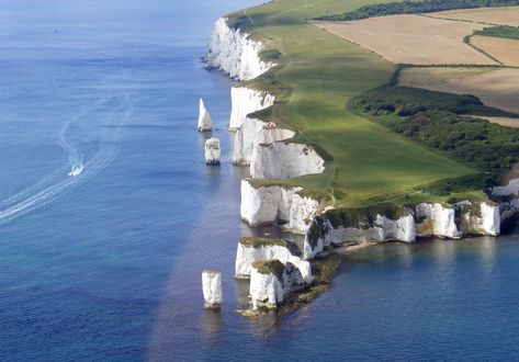 Old Harry Rocks | Jurassic Coast World Heritage Site Estate Sale Signs, England Painting, Dog Portrait Drawing, Camping With Teens, South West Coast Path, Dorset England, Beach Cafe, Jurassic Coast, Westie Dogs