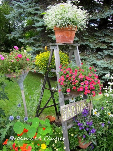 Ladders In The Garden, Garden Ladder, Flowers And Garden, Garden Organization, Old Ladder, Potted Flowers, Garden Junk, Garden Steps, Vintage Garden Decor