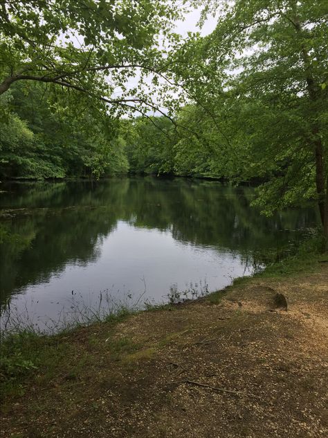 Allaire State Park, NJ State Park, State Parks, Country Roads, Road, Water