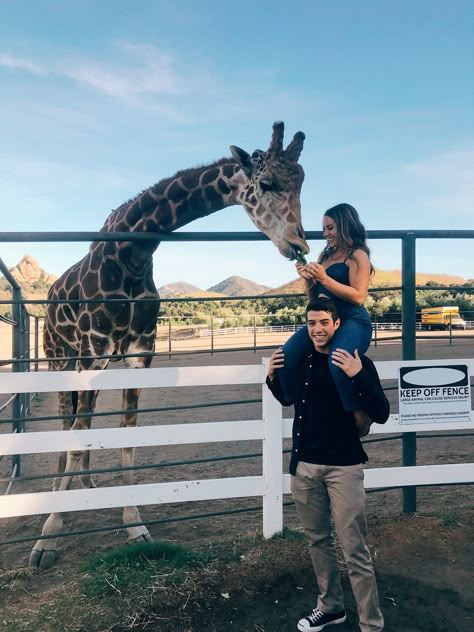 Alphabet Date Ideas, Malibu Wine Safari, Summer Date Ideas, Zoo Pictures, Alphabet Dating, Creative Date Night Ideas, Dream Dates, Couple Activities, Cute Date Ideas