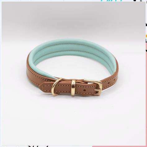 Looking for stylish dog collar ideas? Check out these 9 must-try designs that will make your pup the most fashionable in town! From chic leather to colorful patterns, these dog collars are perfect for any stylish pooch. Find the perfect collar for your furry friend and make them the talk of the dog park! Dog Leash Pulling, Short Dog Leash, Handmade Leather Dog Collar, Velvet Dog Collar, Engraved Dog Collar, Luxury Dog Collars, Dog Collar With Name, Cute Dog Collars, Fancy Dog