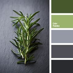 Shades of green and gray will be appropriate when creating interior in the style of high-tech. If you make all the space gray then green that was used for. Apartments Kitchen, Inside House, House Color, Green And Gray, Trendy Living Rooms, Room Paint Colors, Room Color Schemes, Green Colour Palette, Design Seeds