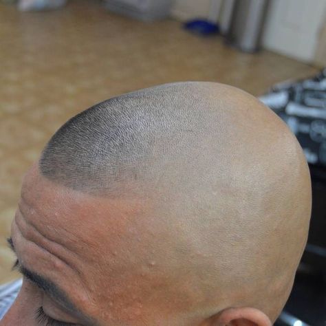 ShavedHeadLove Southside Fade, Bald Head With Beard, Man Haircut, High And Tight Haircut, Fade Haircut Styles, High Skin Fade, Military Haircut, Buzz Cut Hairstyles, Flat Top Haircut