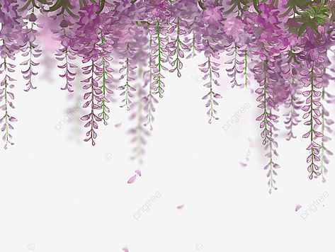 Digital Flowers Png, Wisteria Aesthetic, Watercolor Flowers Png, Gold Abstract Wallpaper, Wisteria Flower, Wedding Card Design Indian, Wisteria Flowers, Indian Wedding Invitation Card Design, Caricature Wedding