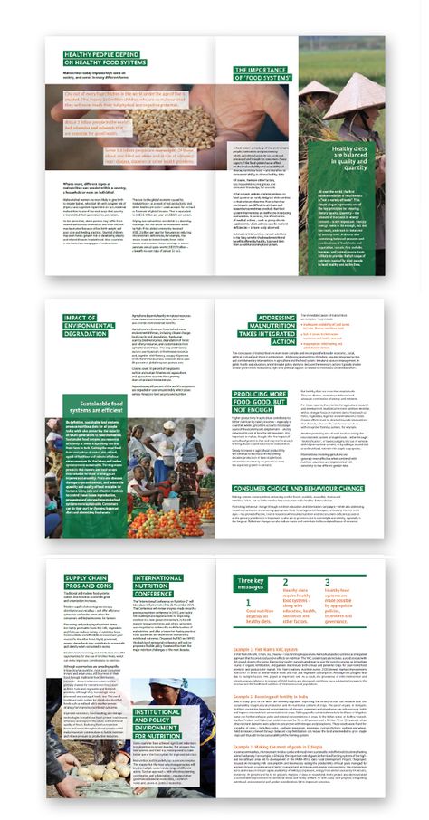 Research Paper Layout Design, Sustainability Graphic Design, Paper Layout Design, Digital Magazine Layout, Textbook Design, World Food Day, Report Layout, Design Article, Indesign Layout