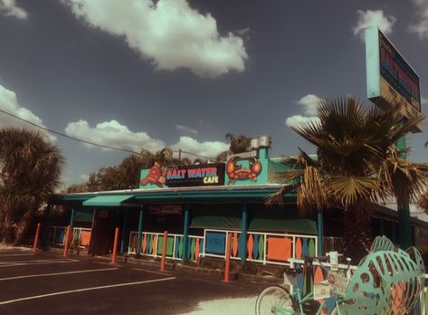 90s Florida Aesthetic, Small Town Florida Aesthetic, Rural Florida Aesthetic, Old Florida Aesthetic, Small Town Florida, Florida Nostalgia, Florida Gothic, 90s Snacks, Project Aesthetic