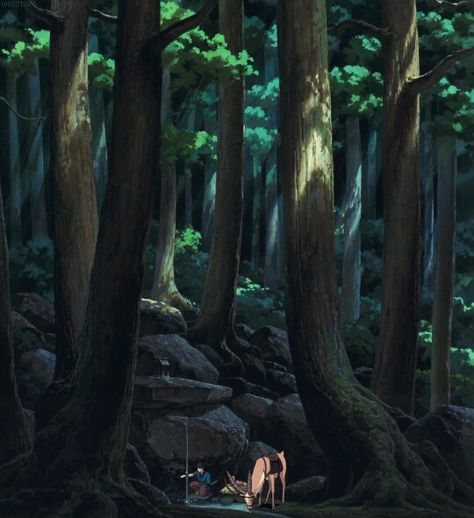 The most beautiful forest: princess mononoke Princess Mononoke Scenes, Ghibli Forest, Princess Mononoke Forest, Ghibli Landscape, Princess Mononoke Wallpaper, Environment Study, Forest Princess, Mononoke Hime, Princess Wallpaper