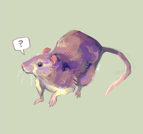 Krithika “Kay” Vasudevan on Twitter: "I drew a rat because a significant portion of my life involves rats right now and I’m ok with that https://t.co/KIPihlwOBC" / Twitter Drawing Rats, Rat Illustration, Rat Art, A Rat, Cute Rats, I'm Ok, Animal Sketches, Rodents, Tempera