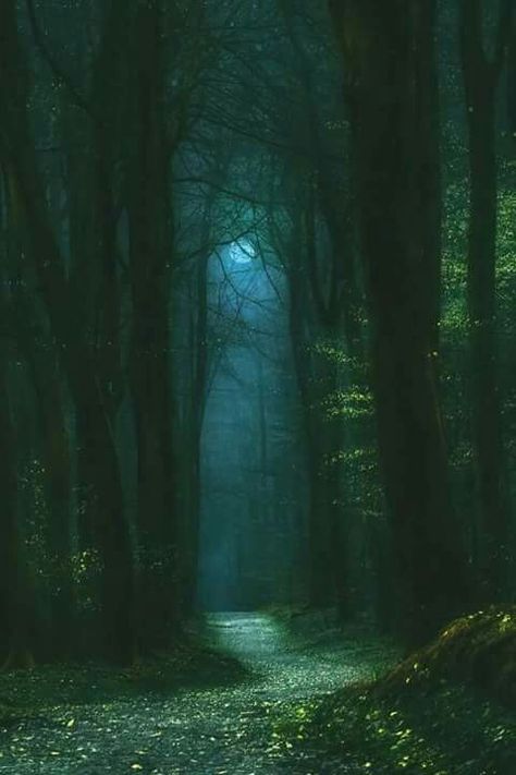 Dark Naturalism, Matka Natura, Dark Green Aesthetic, Slytherin Aesthetic, Mystical Forest, Night Forest, Magical Forest, Alam Yang Indah, Alam Semula Jadi