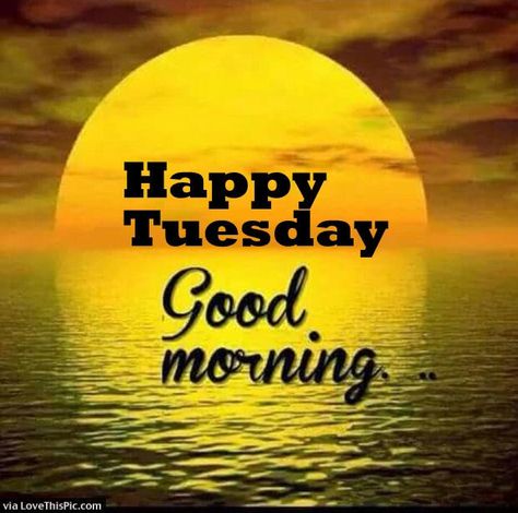 Happy Tuesday Good Morning Sunrise good morning tuesday tuesday quotes good morning quotes happy tuesday tuesday quote happy tuesday quotes good morning tuesday Good Morning Tuesday Wishes, Happy Tuesday Pictures, Happy Tuesday Images, Good Morning Tuesday Images, Tuesday Pictures, Tuesday Quotes Good Morning, Tuesday Images, Happy Tuesday Quotes, Good Morning Tuesday