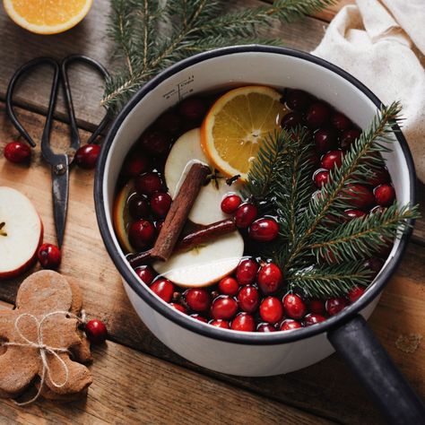 Diy Simmer Pot, Holiday Simmer Pot, Kaetlyn Anne, Simmer Pot Recipes, Potpourri Recipes, Prevent Food Waste, Simmer Pot, Pomegranate Seeds, Fruit In Season