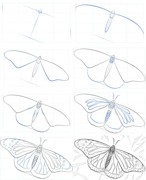 How To Draw A Monarch Butterfly Printable Step By Step Drawing Sheet CD8 Draw A Monarch Butterfly, Papilio Butterfly, Butterfly Drawing Outline, Doodle Techniques, Butterfly Step By Step, Easy Butterfly Drawing, Butterfly Sheets, Body Draw, Butterfly On Flower