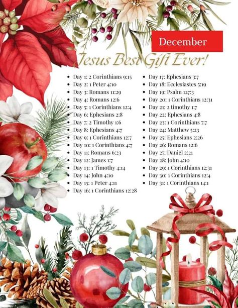 December Bible Reading Plan 2024 - A Women After God's Own Heart December Bible Study Plan, December Scripture Reading Plan, Bible Study Plan For December, Bible Reading Plan December, December Bible Journaling, Christmas Bible Reading Plan Luke, Christmas Reading Plan, December Bible Reading Plan 2024, Advent Bible Reading Plan 2024