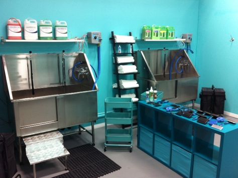 New Self Serve Dog Grooming Facility in Alliston Ontario Ark Ideas, Self Serve, Dog Grooming, Ontario, Flatscreen Tv, Flat Screen, How To Plan, Electronic Products