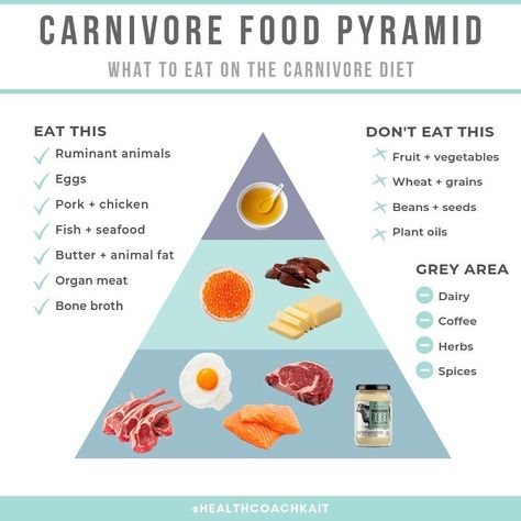 KAIT 🥩 animal based nutrition on Instagram: “⁠ New to the carnivore diet? Here are a few infographics to get you started! 👆⁠ ⁠ Share or tag a friend who would find this helpful! ✔️⁠ ⠀⁠…” Carnivore Ideas, The Wild Diet, Lion Diet, Caveman Diet Recipes, The Carnivore Diet, Caveman Diet, Animal Based, Autoimmune Paleo, Carnivore Diet