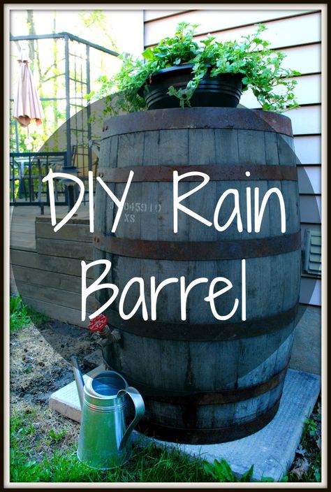 DIY Rain Barrel Diy Rain Barrel, Rain Barrel System, Barrels Diy, Rainwater Collection, Water Barrel, Rain Barrels, Rainwater Harvesting, Rain Barrel, Rain Water Collection