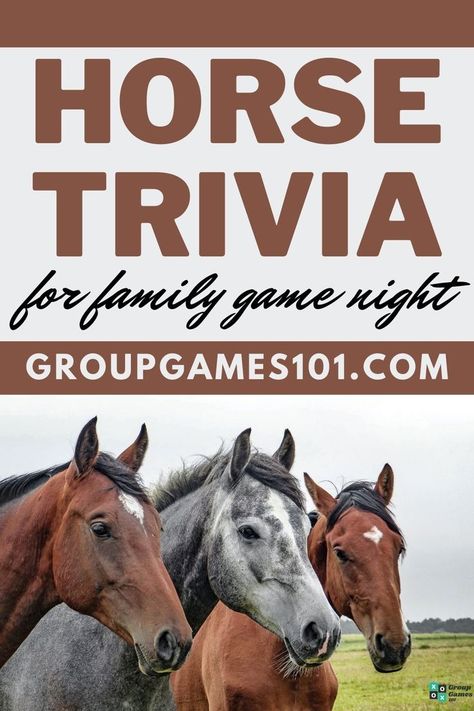 29 Horse Trivia Questions and Answers Horse Quizzes, Male Horse, Horse Jokes, Photography Horse, Dinner Party Games, Senior Games, New Year's Games, Equine Therapy, Horse Games