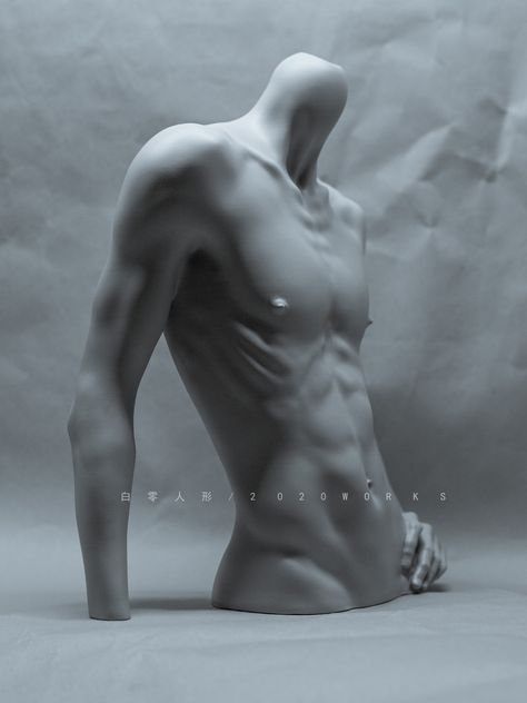 1/3 Male Body Stand Sigma Σ - dollyplanet Abs Art Reference, Skin Reference, Anime Clay, 남성 근육, Body Study, Male Pose Reference, Sigma Male, 남자 몸, Body Reference Drawing