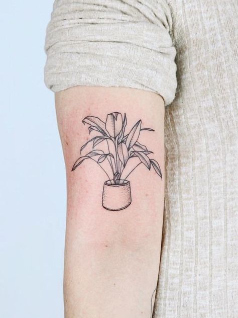 Planting Tattoo, House Plant Tattoo, Tattoo Modern, Plant Tattoo, Aesthetic Tattoo, Dream Tattoos, Flower Tattoo Designs, Simplistic Tattoos, Skin Art