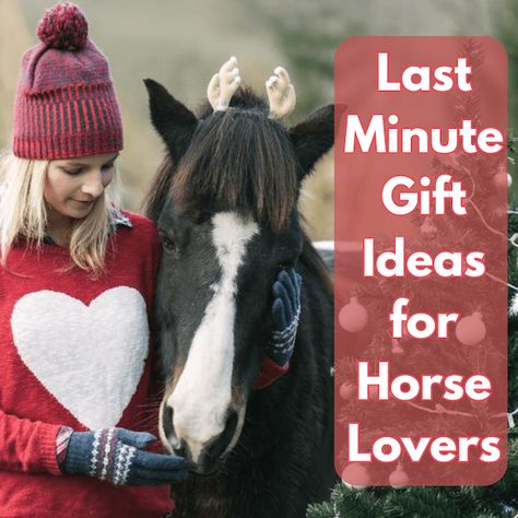 Last Minute Gift Ideas for Horse Lovers Diy Gifts For Horse Lovers, Last Minute Gift Ideas, Volunteer Gifts, Horse Diy, Diy Mothers Day Gifts, Horse Gifts, Horse Lovers, Gifts For Horse Lovers, Riding Gear